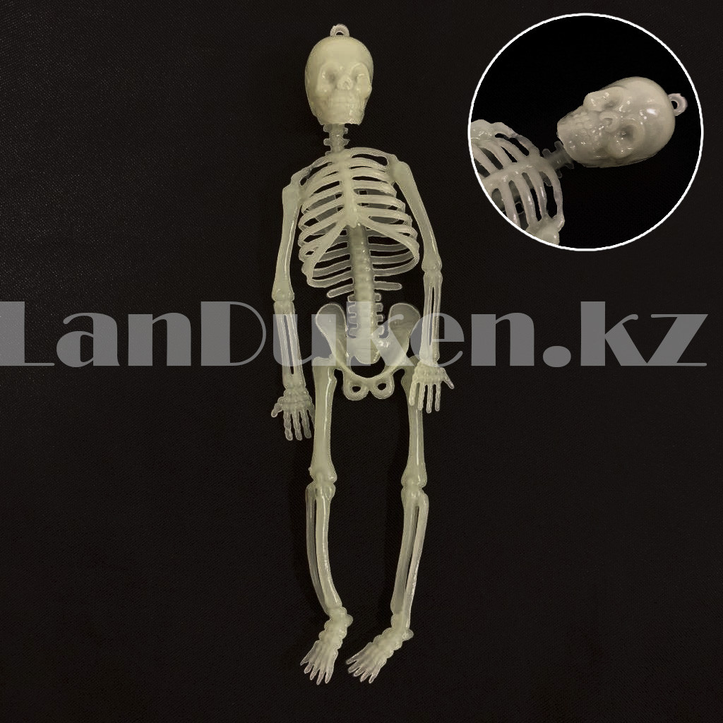 Светящийся (фосфорный) скелет для Хэллоуина 20 см - фото 1 - id-p101513213