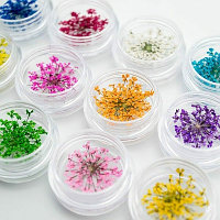 Сухоцветы для дизайна ногтей в ассортименте