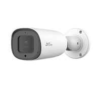 IP камера ZKTeco BL-854N38S-S7