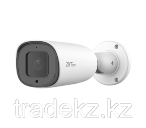 IP камера ZKTeco BL-854N38S-S7 - фото 1 - id-p101604220