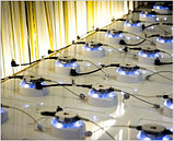 Бренд Шоп (Brand Shop), фото 3