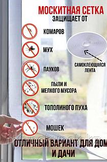 Брюнетка және аққұба лесбиянка бейне