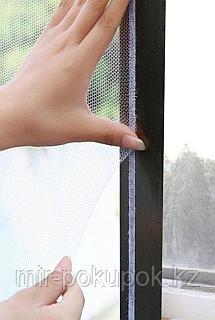 Эротикалық жаңбыр