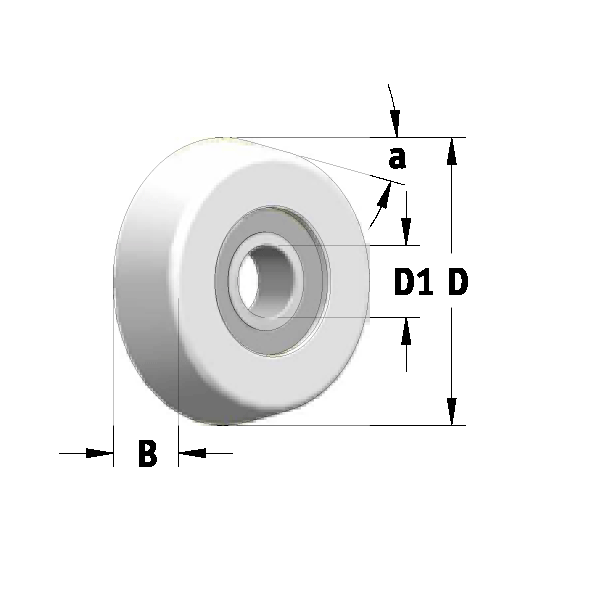 Подшипник WPW B250050C, D25,4xx5° посадка 6,3_S, B250050C