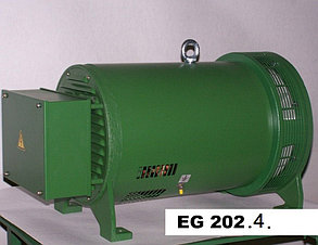 Электрогенератор EG 202.4