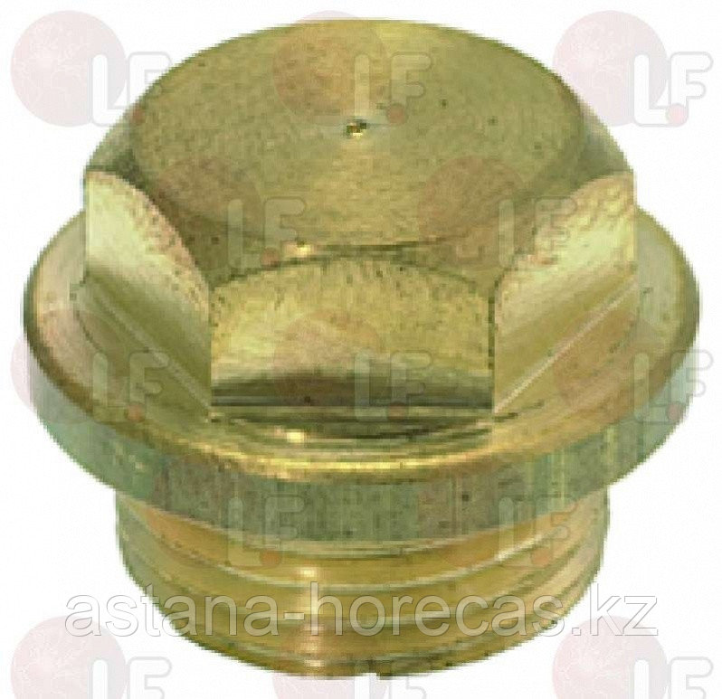 Заглушка кофейной группы 25789 Astoria