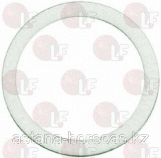 Прокладка TEFLON ø 21x16,8x2 mm 36220009 Promac