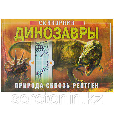 Развивающая книга для детей. Сканорама. Природа сквозь рентген.