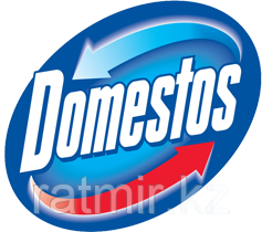 Средство универсальное Domestos 750 мл - фото 1 - id-p101723715