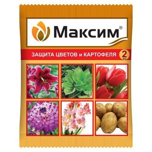 "Максим-Дачник" протравитель семян, 2 мл - фото 1 - id-p43993795