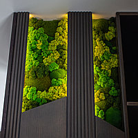Озеленение стены из стабилизированного мха