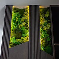 Вертикальное озеленение стабилизированым мхом