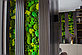 Озеленение стены из стабилизированного мха, фото 6