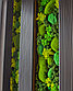 Озеленение стены из стабилизированного мха, фото 2
