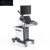 Цифровой стационарный УЗИ-сканер Zoncare ViV 60