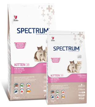 Spectrum Kitten Kitten38 для котят с курицей 12кг