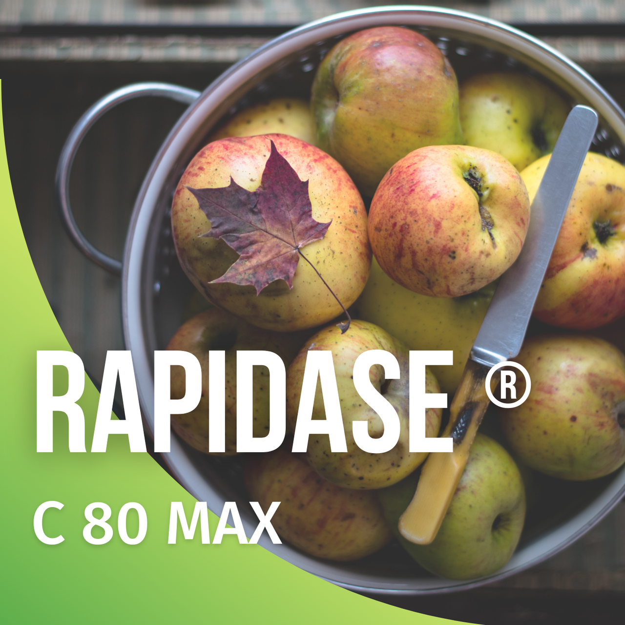 Пектиназа RAPIDASE ® С 80 МАХ - фото 1 - id-p101725372