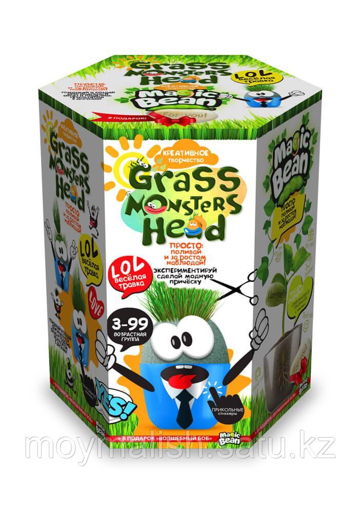 НАБОР КРЕАТИВНОГО ТВОРЧЕСТВА "GRASS MONSTERS HEAD", DANKO TOYS - фото 2 - id-p101763190