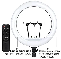 Кольцевая лампа / Световое кольцо / Кольцевая лампа RL21 55 см, 65 Вт б Подарок штатив 210см, фото 3