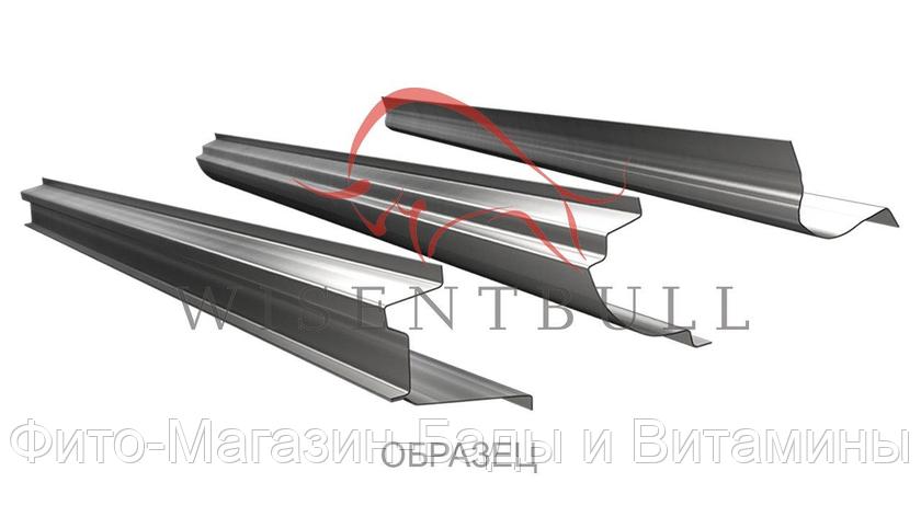 Кузовной порог Wisentbull Peugeot Expert II (2007–2016), фото 2