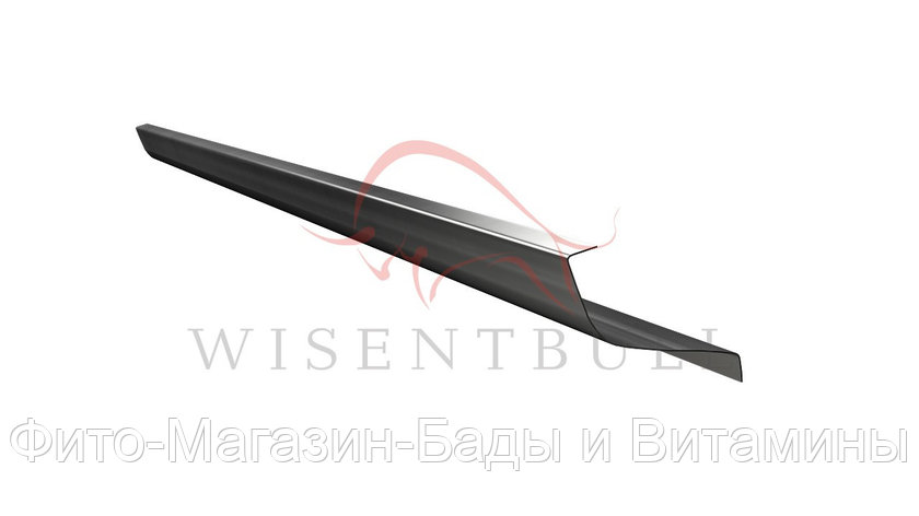 Кузовной порог Wisentbull Daihatsu YRV (2000–2005), фото 2