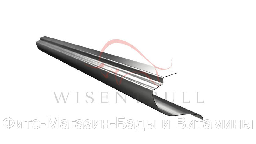Кузовной порог Wisentbull Pontiac Wave T250 Sedan (2006–2009), фото 2