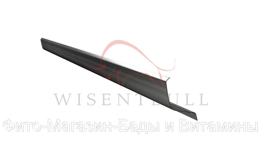 Кузовной порог Wisentbull Daewoo Matiz I (1998–2015), фото 2