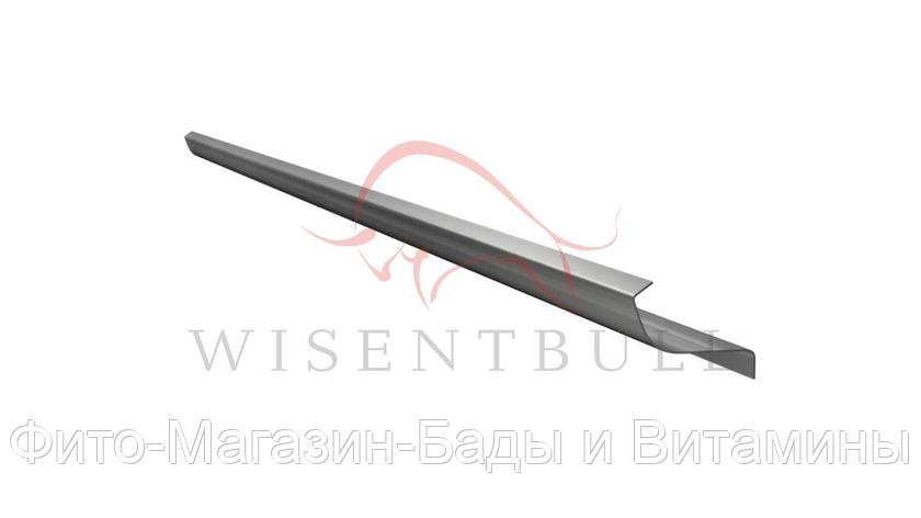 Кузовной порог Wisentbull Mazda 121 III (2000–2003), фото 2