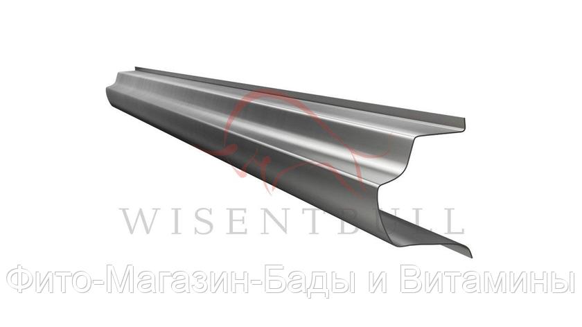 Кузовной порог Wisentbull Ford Fiesta VI (2008–2012), фото 2