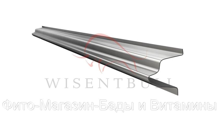 Кузовной порог Wisentbull Ford Transit V (2000–2006), фото 2