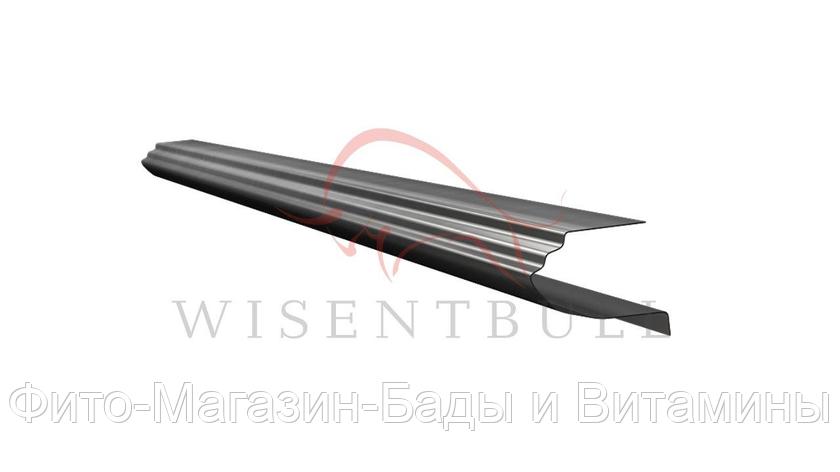 Кузовной порог Wisentbull Honda Civic VII (2000–2005), фото 2
