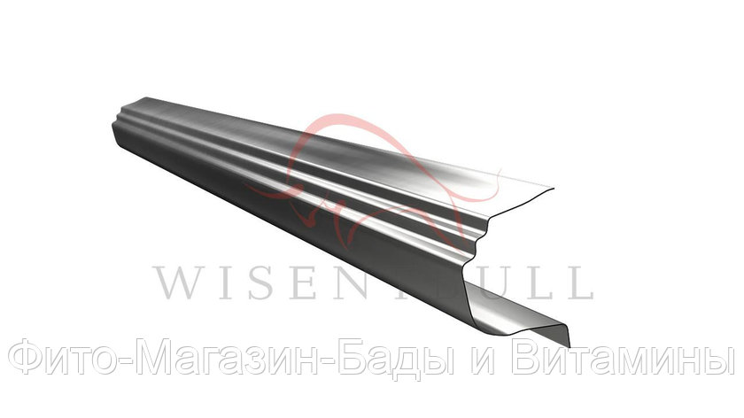 Кузовной порог Wisentbull Honda Civic VIII Sedan (2005–2011), фото 2