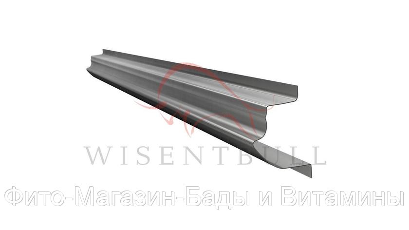 Кузовной порог Wisentbull Mazda Demio DY (2002–2005), фото 2