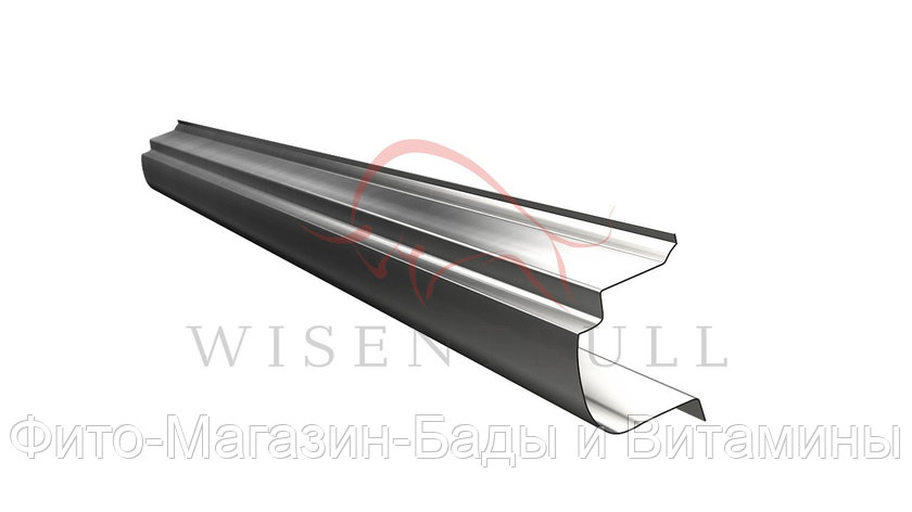 Кузовной порог Wisentbull Chery Cowin 2 A15 (2011–2013), фото 2