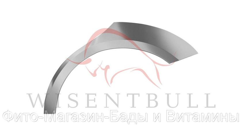 Задняя арка Wisentbull SEAT Toledo III (2004–2009), фото 2