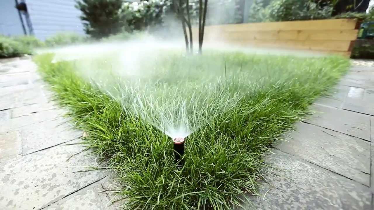 Система автоматического полива газона