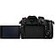 Фотоаппарат Panasonic Lumix DC-GH5 II kit 12-60mm f/3.5-5.6, фото 3