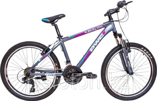 Велосипед городской подростковый. Велосипед BWC Molly 24 - фото 1 - id-p101851170