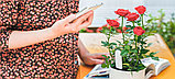 Датчик влажности почвы для растений Xiaomi Smart Flower Monitor, фото 8