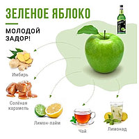 Сироп FRUIT INNOVATIONS Зеленое яблоко DAVINCI 1000мл