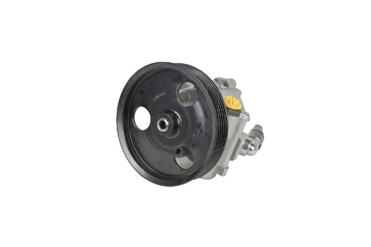 Насос ГУРа NSP NSP07491105510R LARGUS, фото 1