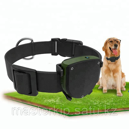 Водонепроницаемый миниатюрный персональный gps-трекер для собак, фото 2