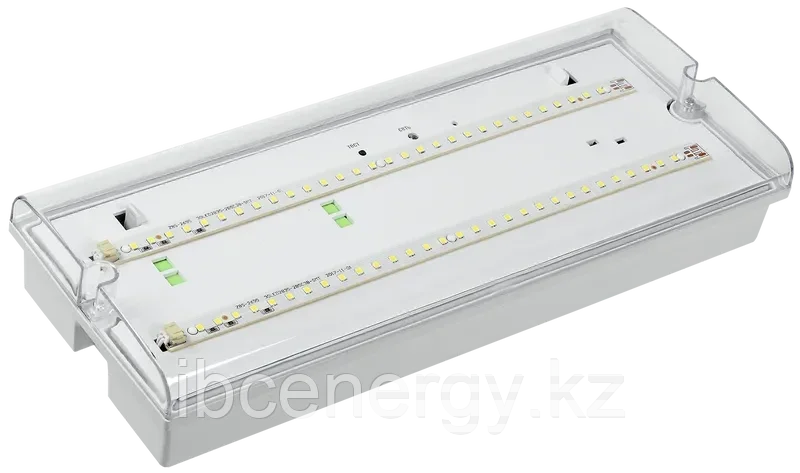 Светильник аварийный ДПА 5042-3 постоянного/непостоянного действия 3ч IP65 IEK