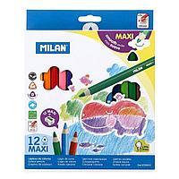 Набор треугольных цветных карандашей Milan+точилка 12 цветов