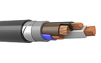 Кабель силовой с пластмассовой изоляцией ПвБбШвнг 2х10(ож)-1