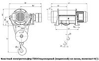 Таль электрическая типа 13Т 3553