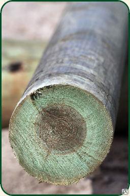 Опора деревянная для ЛЭП пропитанная 6,0м, 6.5 м, 8.5 м, 9,5 м, 11 м 366143 - фото 1 - id-p102304441