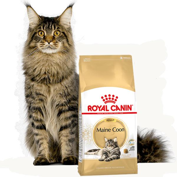 Роял Канин Мейн Кун, сухой корм для кошек, 2 кг