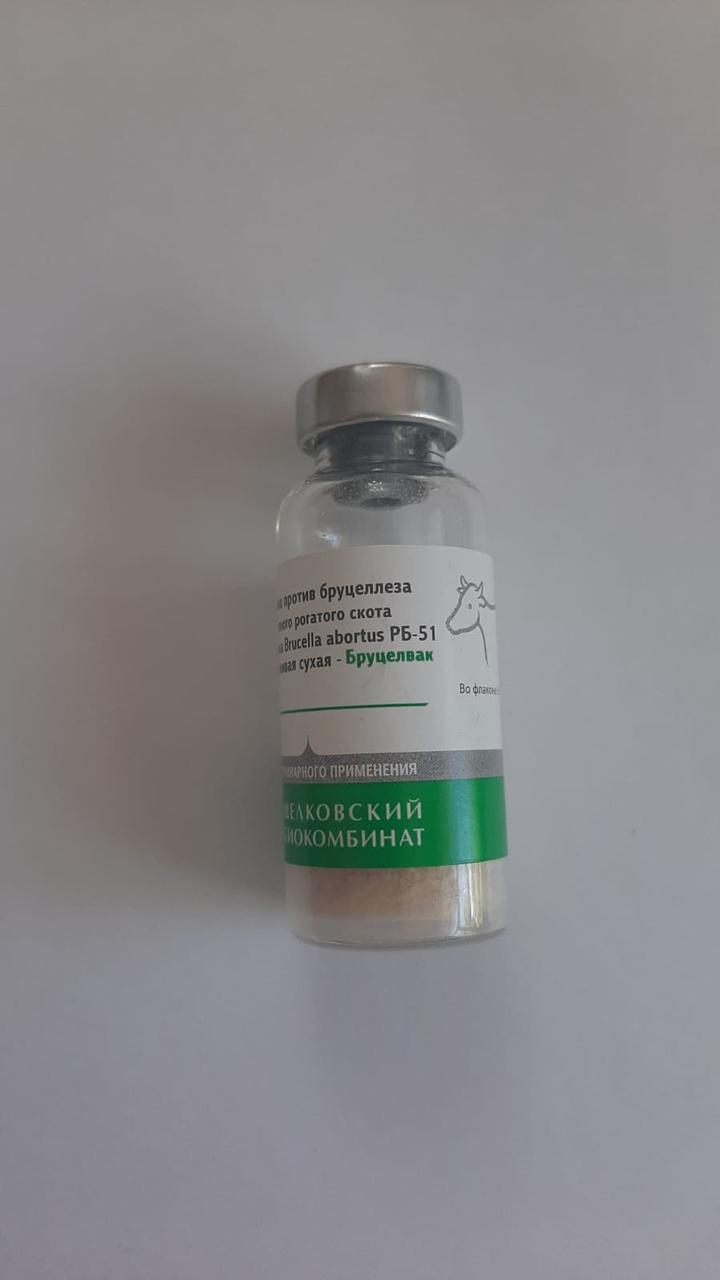 Вакцина против бруцеллеза крупного рогатого скота из штамма Brucella abortus РБ-51, живая сухая - фото 1 - id-p102319943