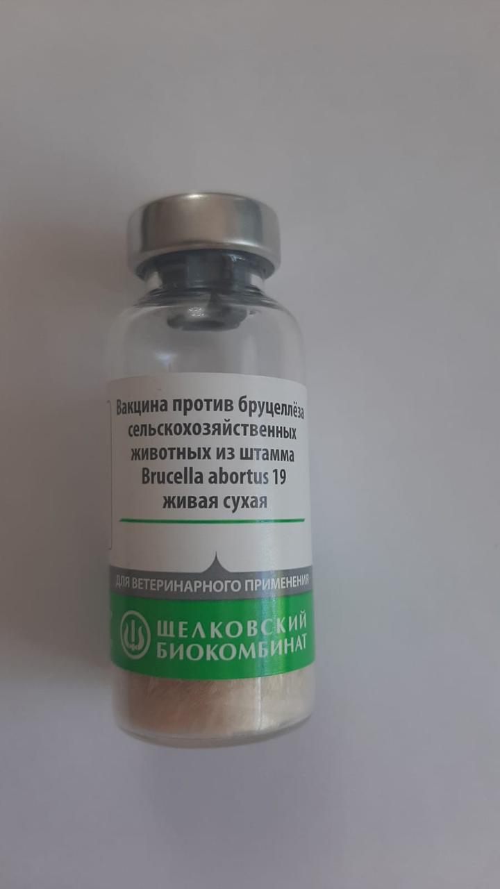Вакцина против бруцеллеза сельскохозяйственных животных из штамма Brucella abortus 19 живая сухая - фото 1 - id-p102319961
